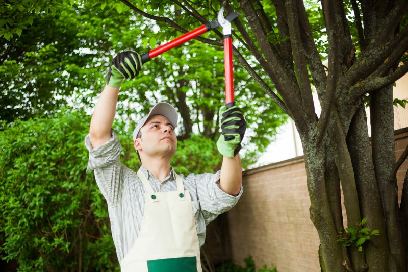 Specialized Tree Pruning Teams